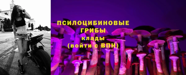 кокс Абаза