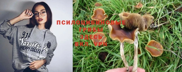 бошки Абинск