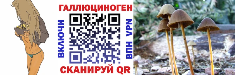 Галлюциногенные грибы ЛСД Оса